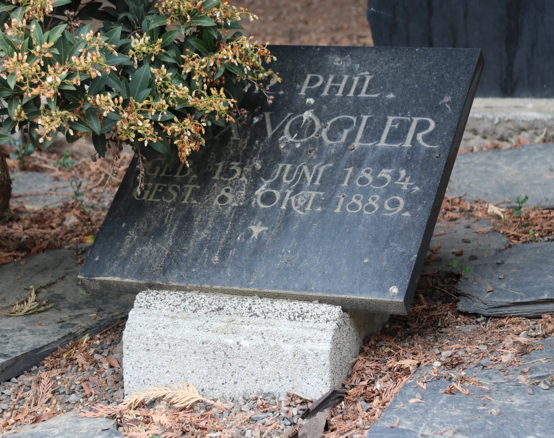 Porträt von Max Vogler (1854–1889) – Gedenkseite