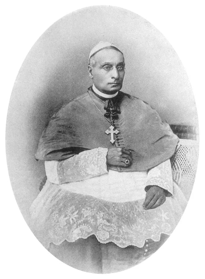 Portrait of João Maria Pereira de Amaral e Pimentel (1815–1889) – memorial page