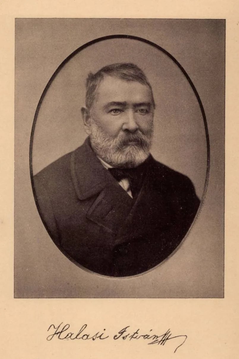 Portrait of István Halasi (1822–1894) – memorial page