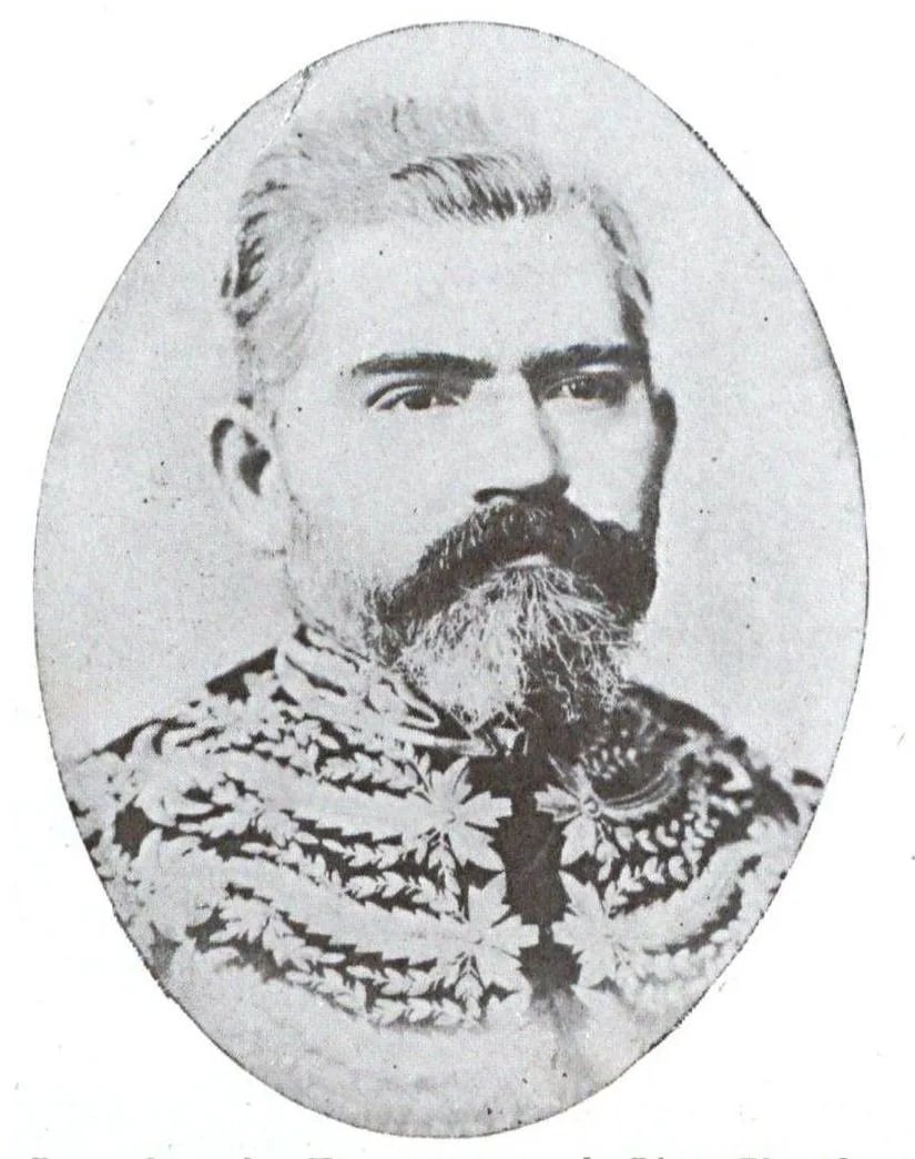Porträt von Miguel Calmon du Pin e Almeida (1843–1886) – Gedenkseite