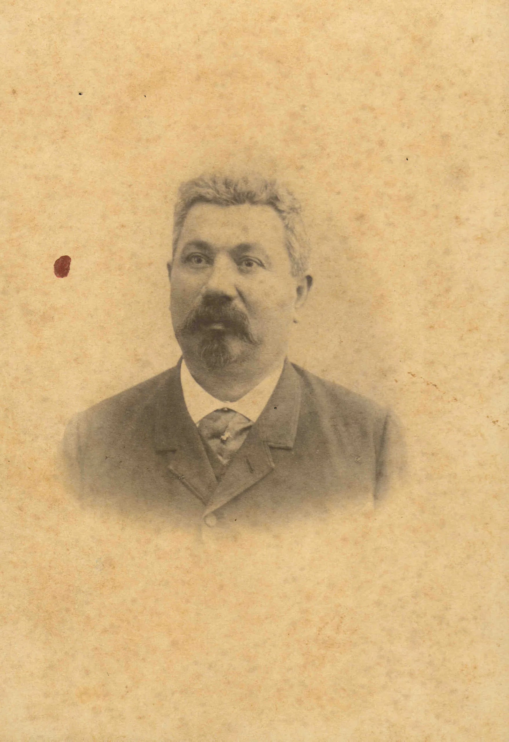 Portrait of Paul Villon (1841–1905) – memorial page