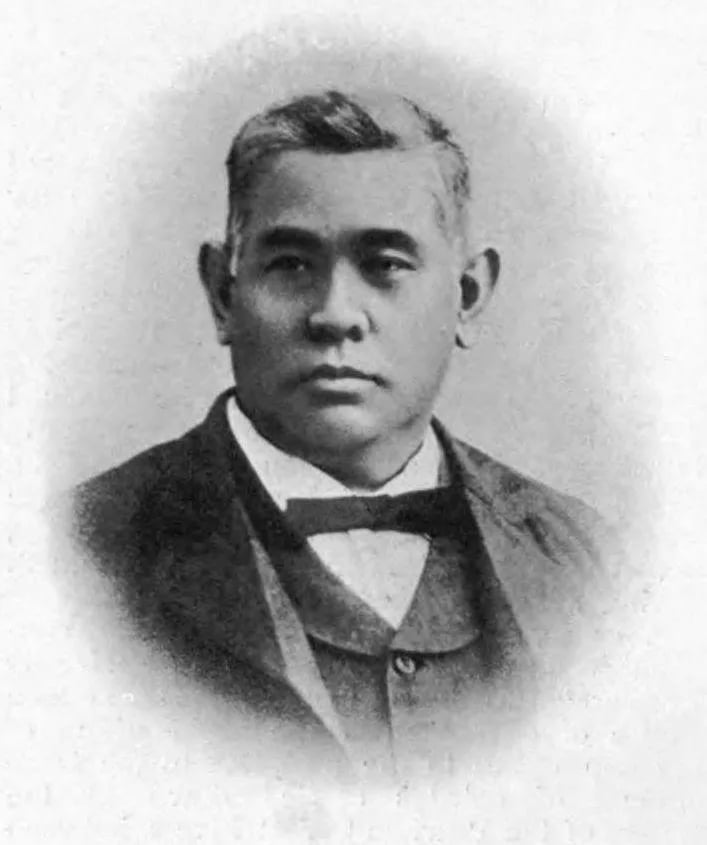 Portrait of Pedro Nolasco da Silva (1842–1912) – memorial page