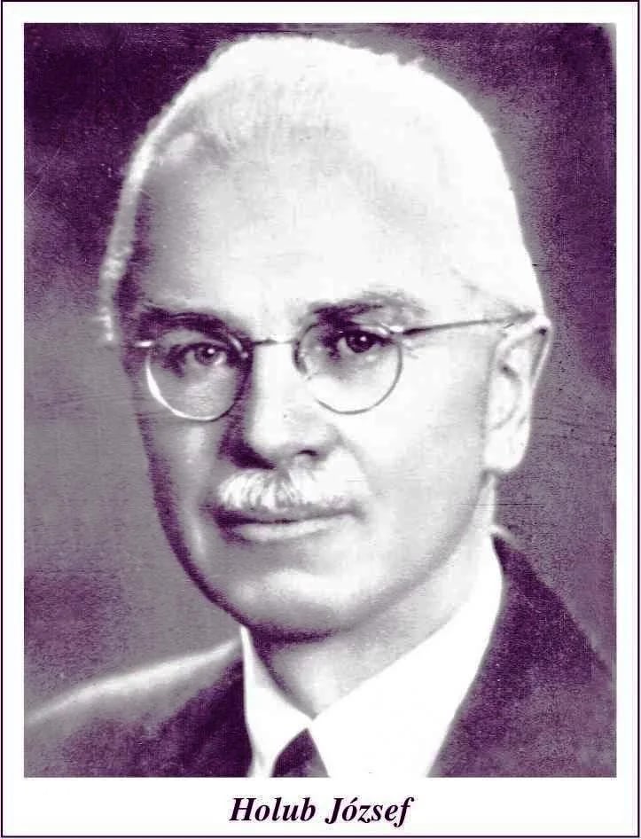 Portrait of József Holub (1885–1962) – memorial page