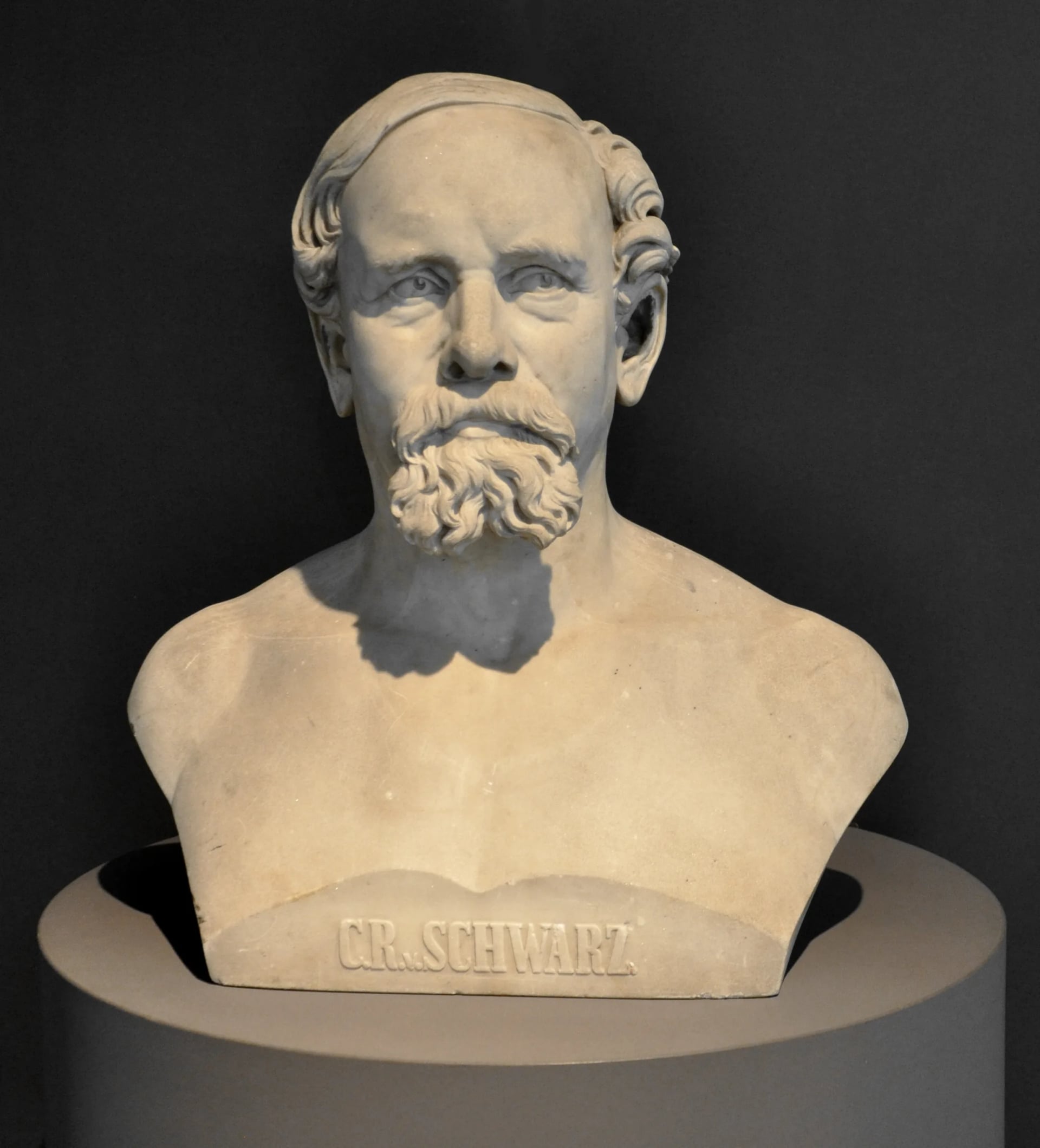 Portrait of Carl von Schwarz (1817–1898) – memorial page