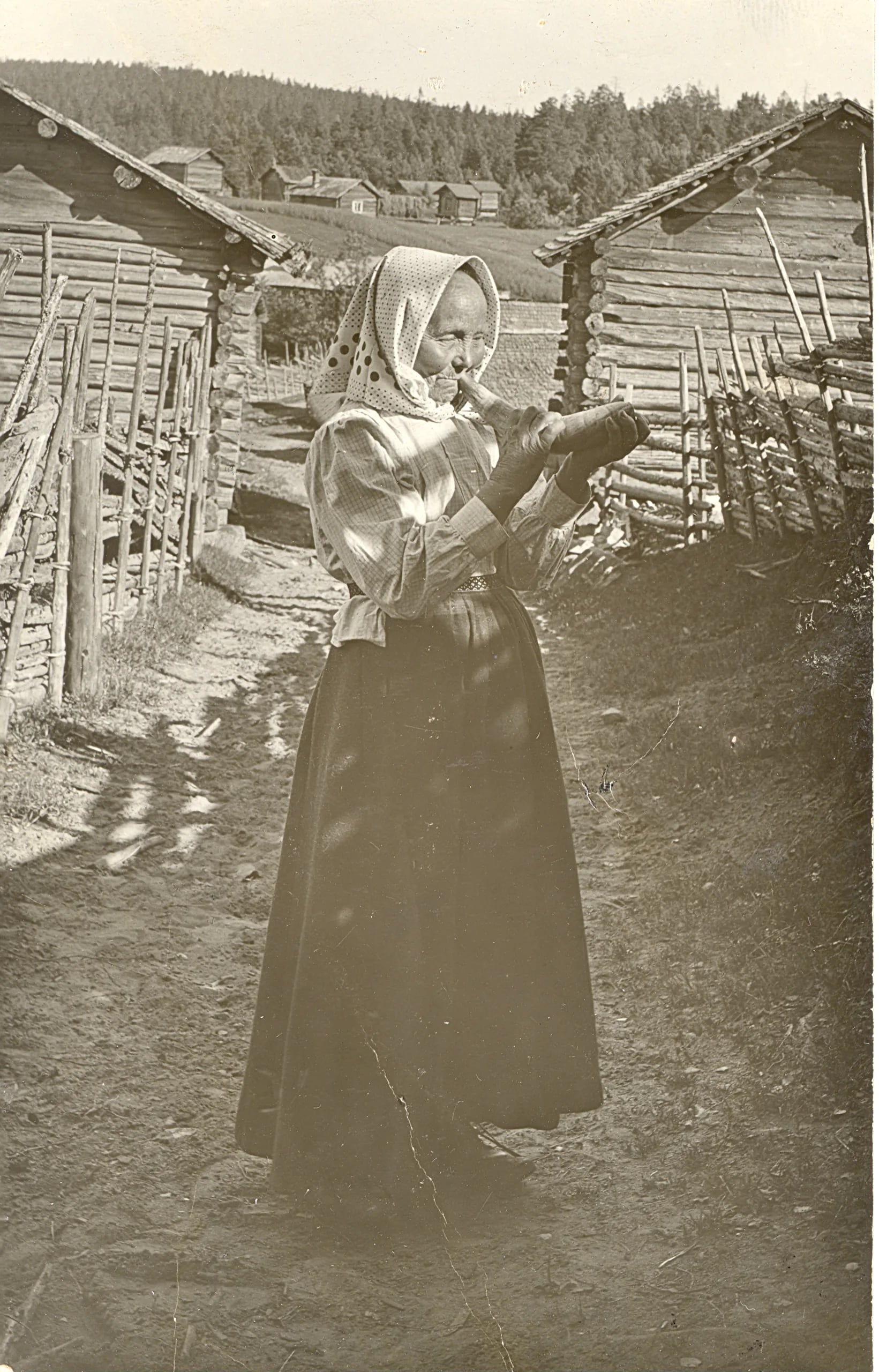 Portrait of Reser Anna Larsson (1848–1927) – memorial page