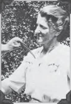 Portrait of Gladys Ivy Blackbeard (1891–1975) – memorial page