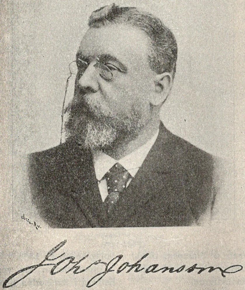 Porträt von Johannes Johansson (1841–1898) – Gedenkseite