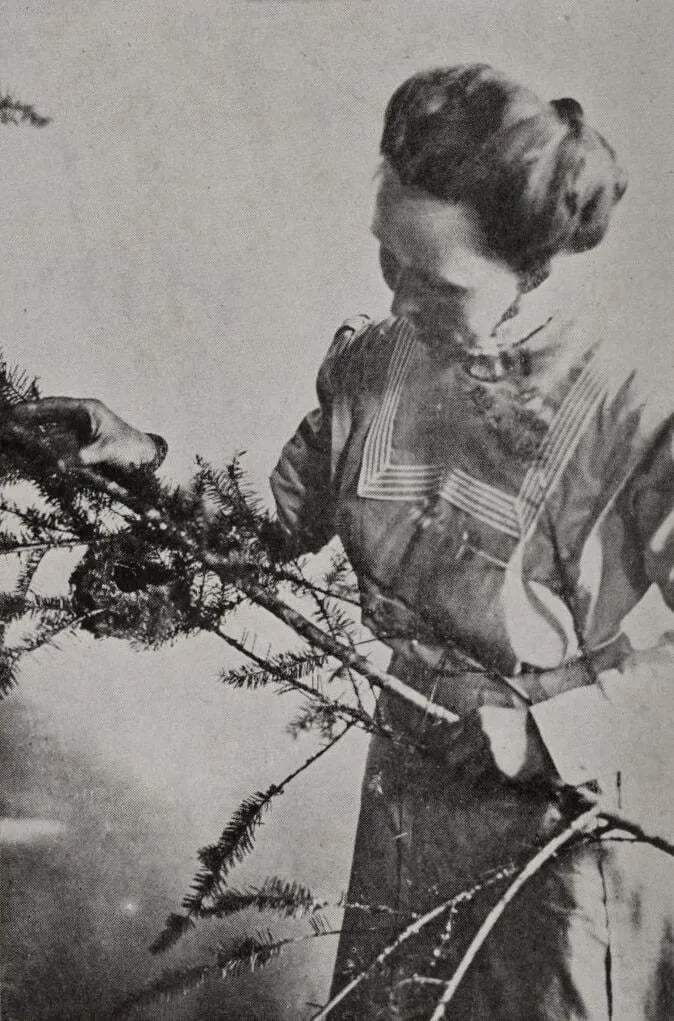 Portrait of Genevive Violet Getty (1861–1913) – memorial page