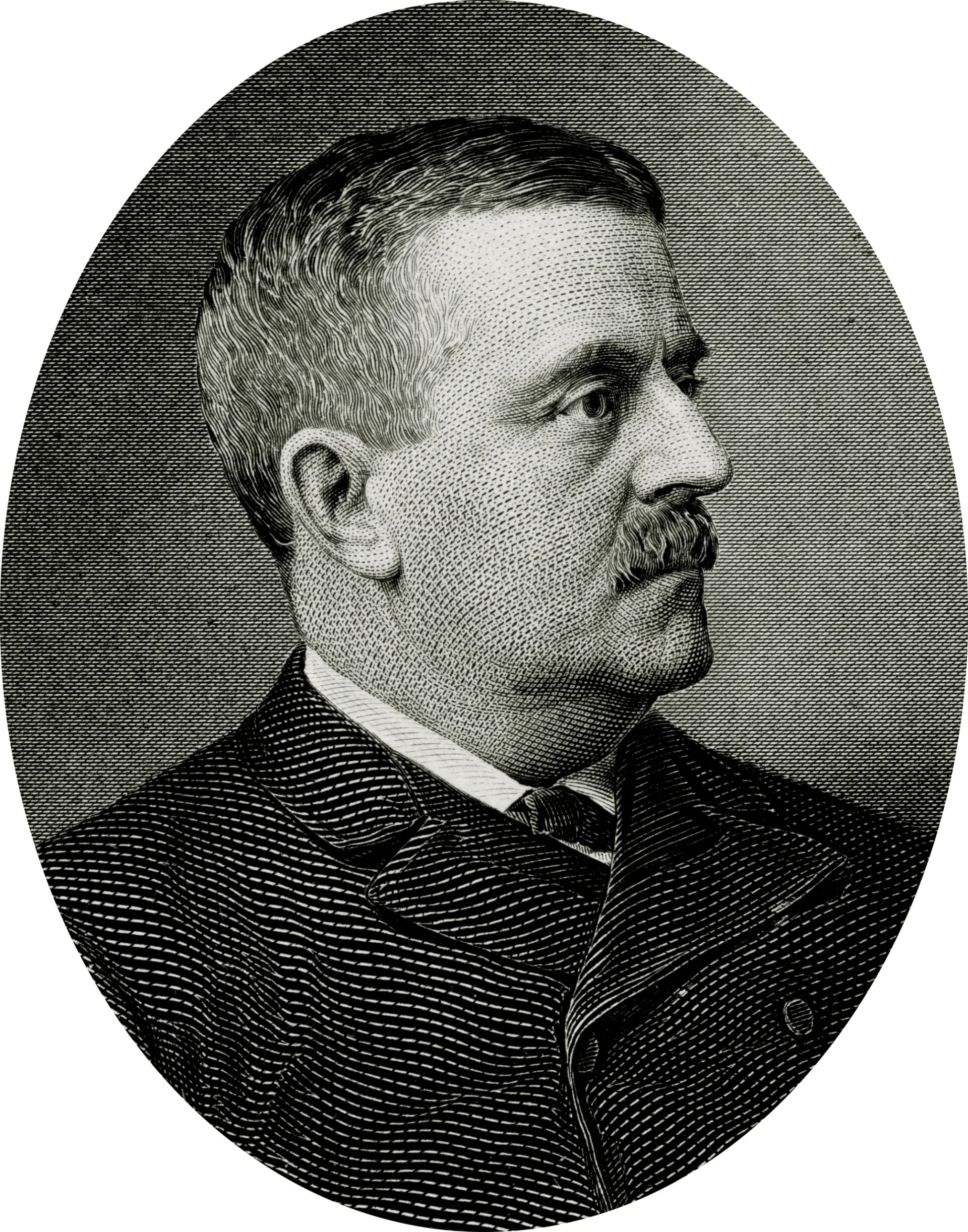 Portrait of Charles S. Fairchild (1842–1924) – memorial page