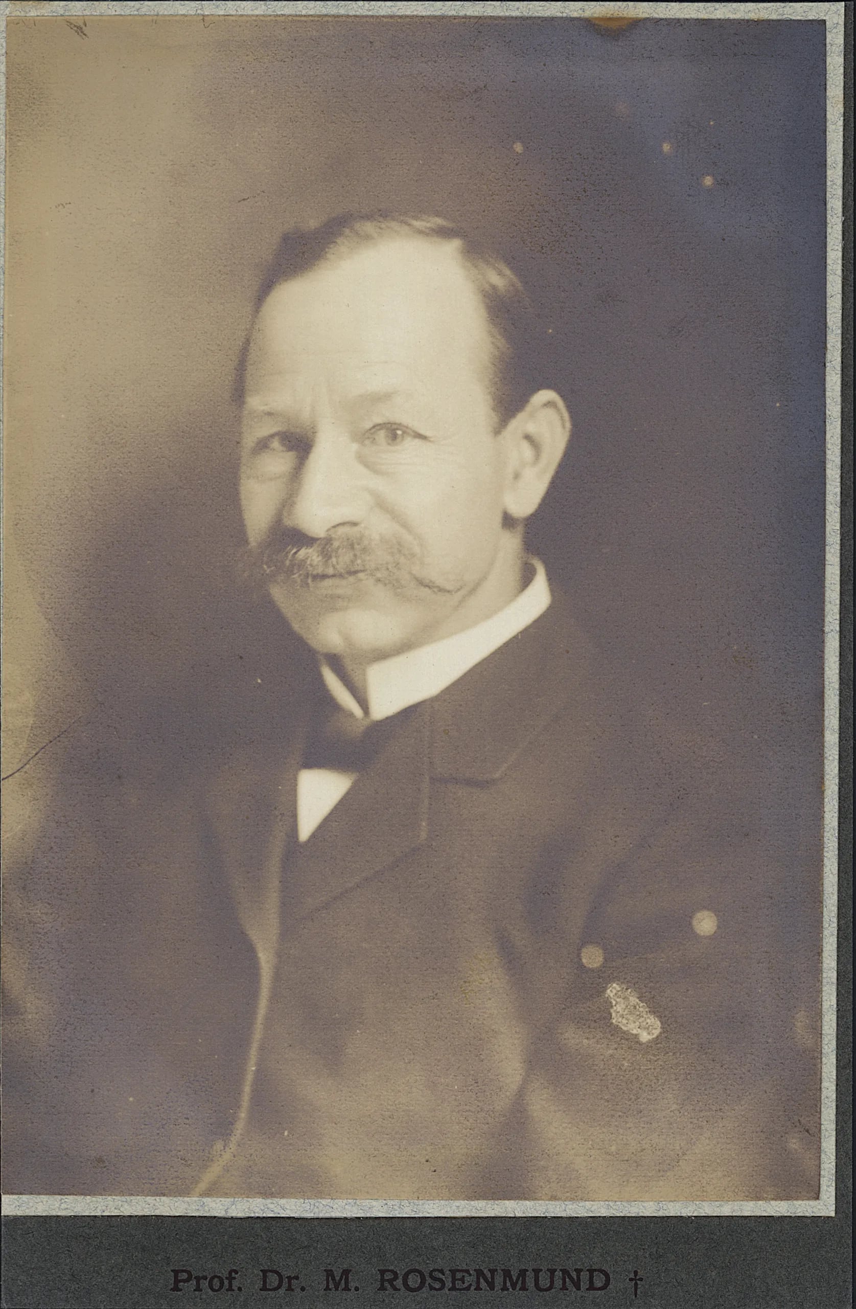 Porträt von Max Rosenmund (1857–1908) – Gedenkseite