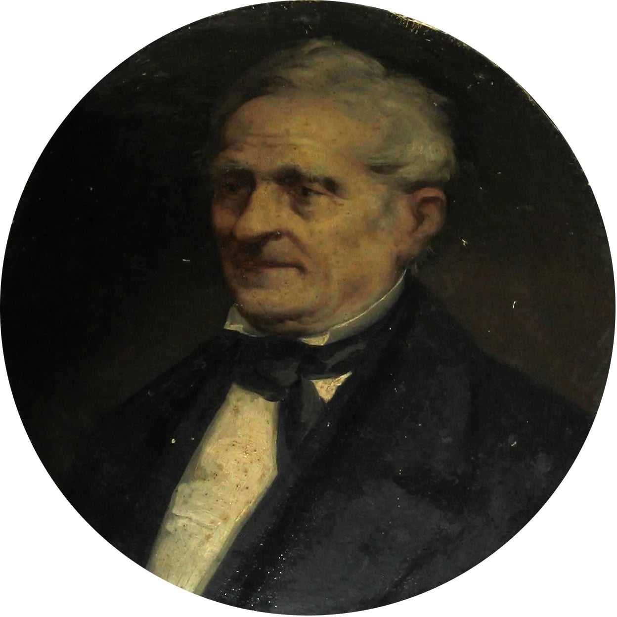 Portrait of Pietro Paleocapa (1788–1869) – memorial page