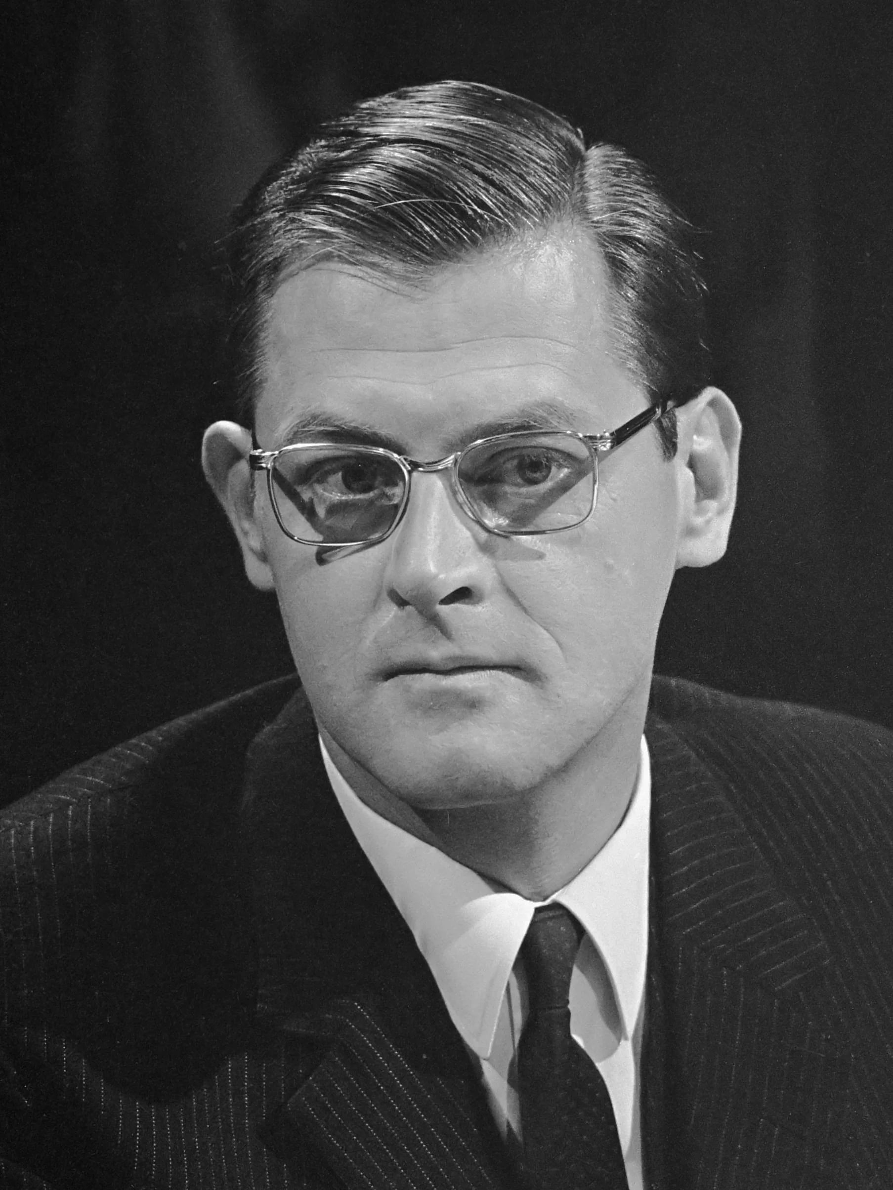 Portrait of Theo Sommer (1930–2022) – memorial page