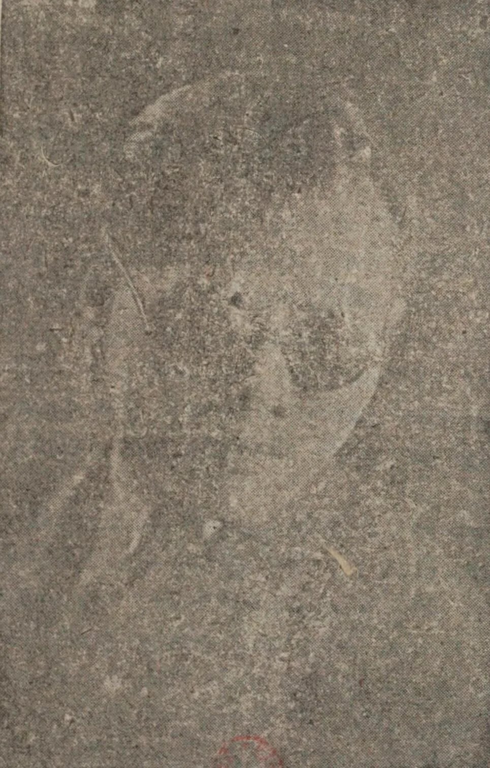 Portrait of Nguyễn Vỹ (1912–1971) – memorial page