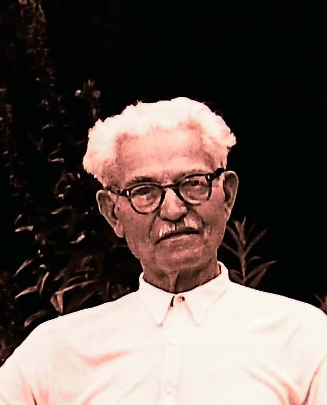 Portrait of Antonín Dědourek (1882–1964) – memorial page