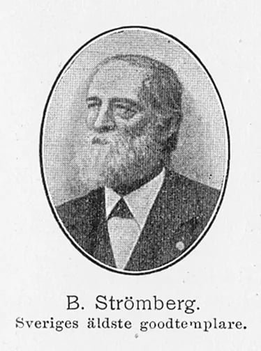 Porträt von Bengt Johan Gustaf Lorenz Strömberg (1828–1900) – Gedenkseite