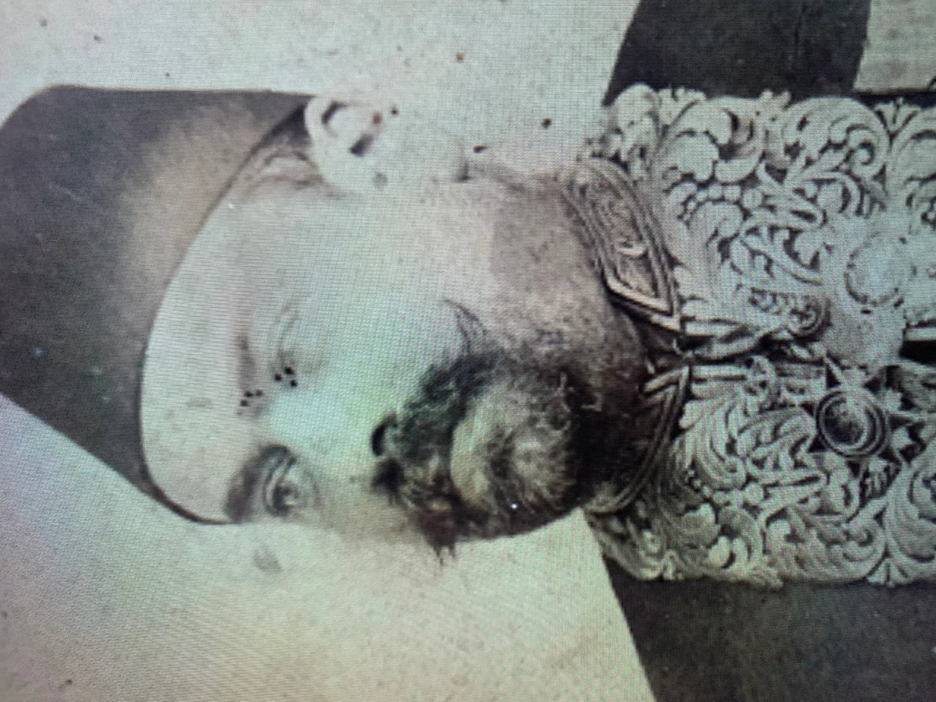 Portrait of Célestin Bonin (1851–1924) – memorial page
