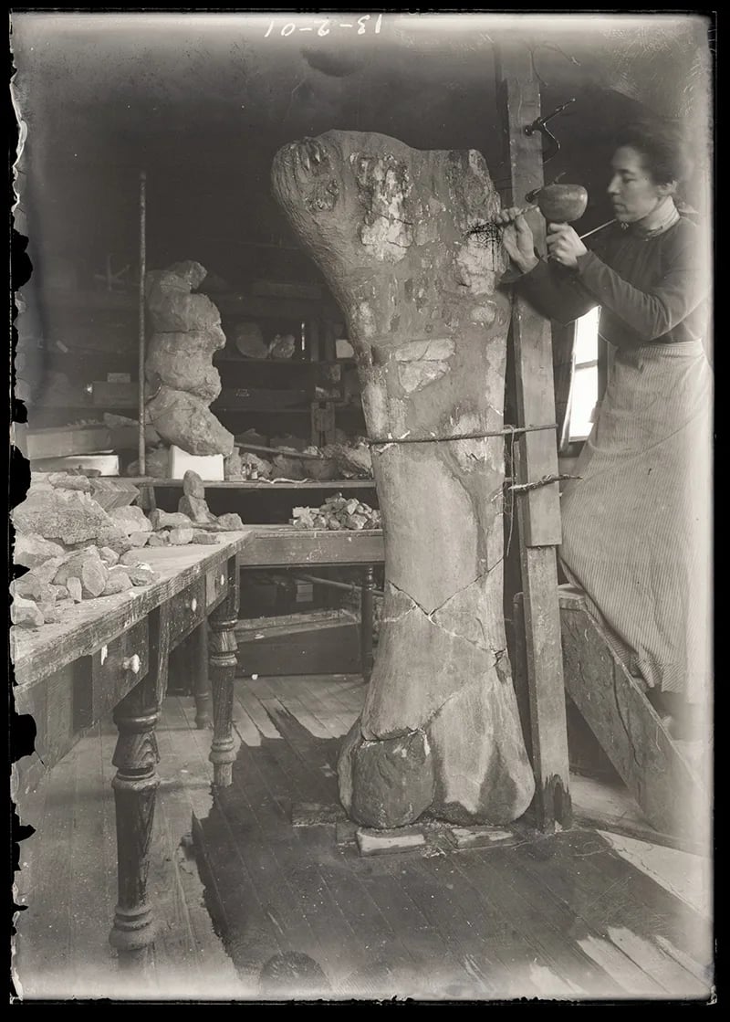 Porträt von Carrie Adeline Barbour (1861–1942) – Gedenkseite