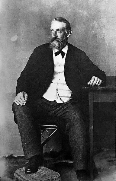 Portrait of Wilhelm Riehmer (1830–1901) – memorial page