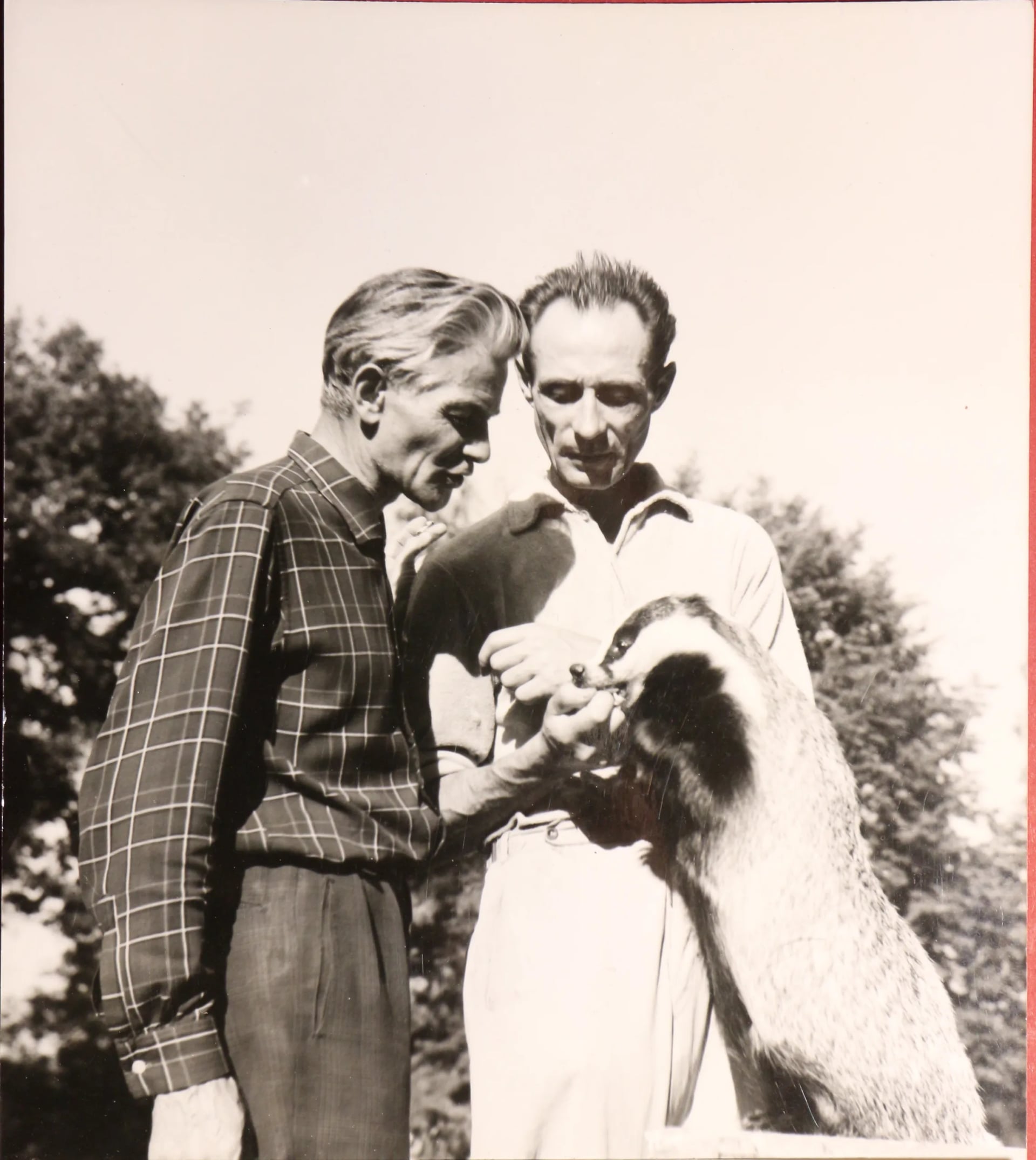 Portrait of Ágoston Kollányi (1913–1988) – memorial page