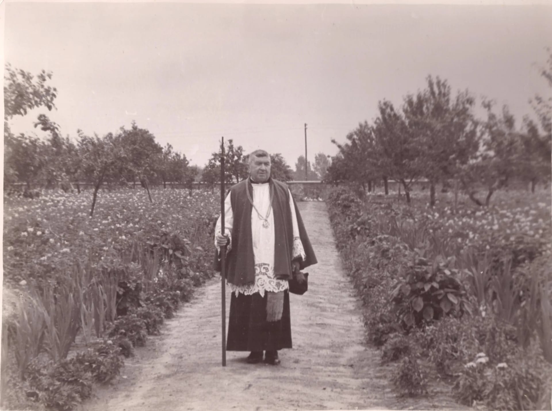 Porträt von Kazimierz Czarkowski (1888–1982) – Gedenkseite