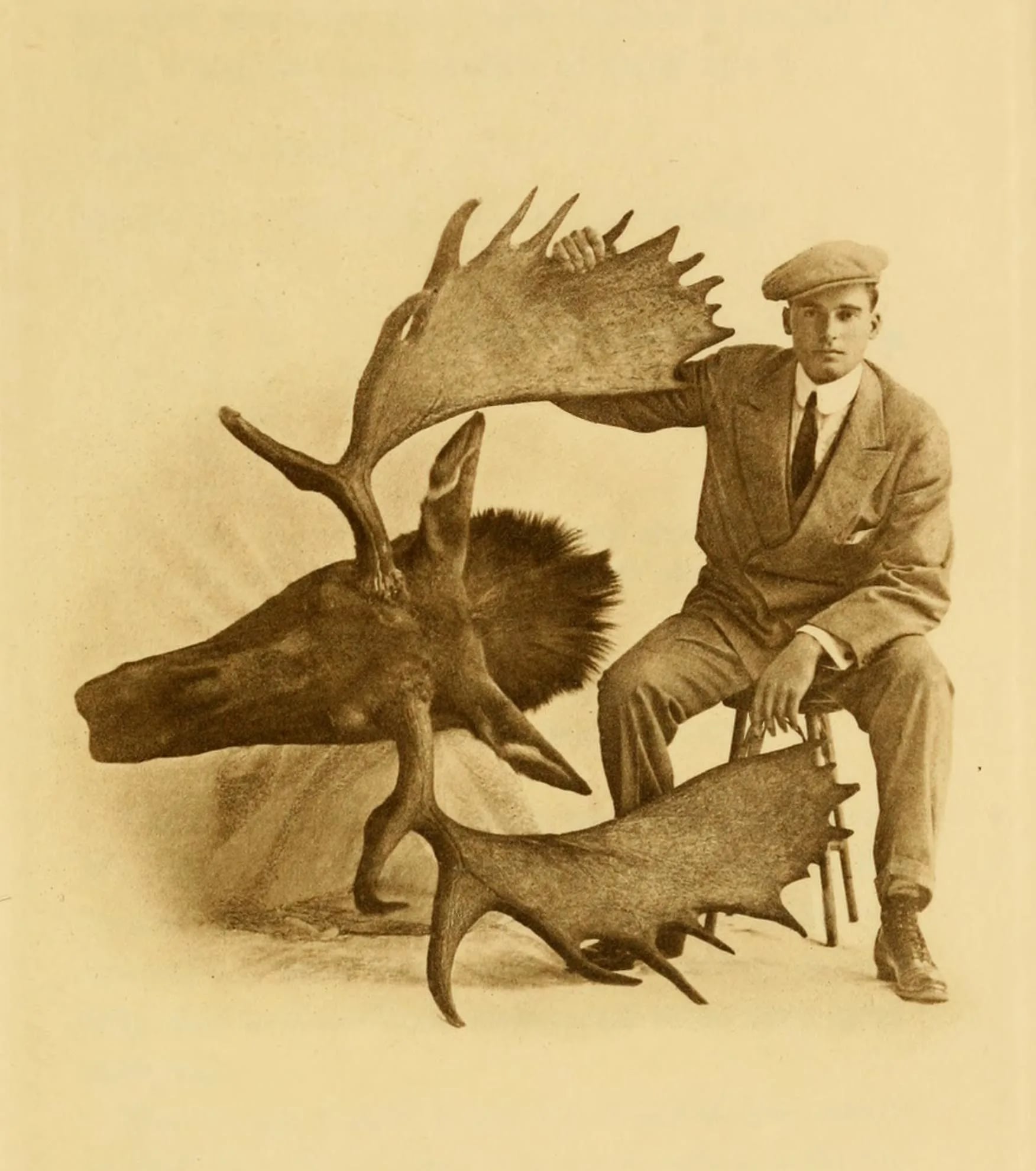 Porträt von Steuart Davis (1882–1955) – Gedenkseite