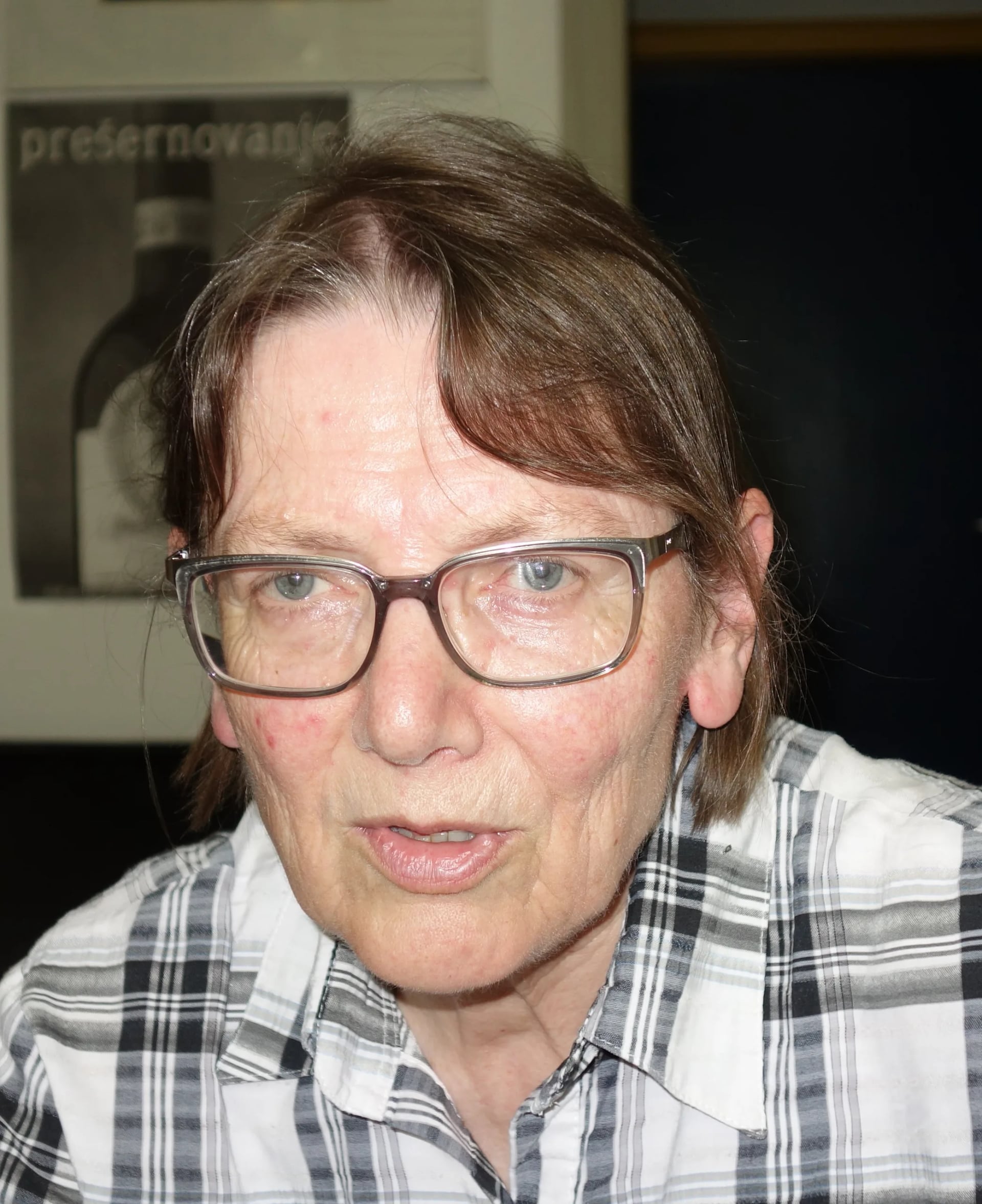 Porträt von Alenka Župančič (1946–2025) – Gedenkseite