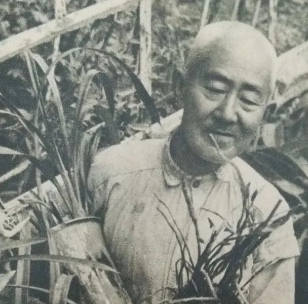 Portrait of Yūkichi Iwata (1887–1980) – memorial page