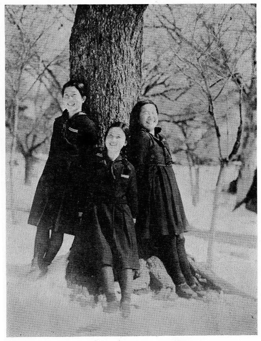 Portrait of Toshiko Chino (1924–1946) – memorial page