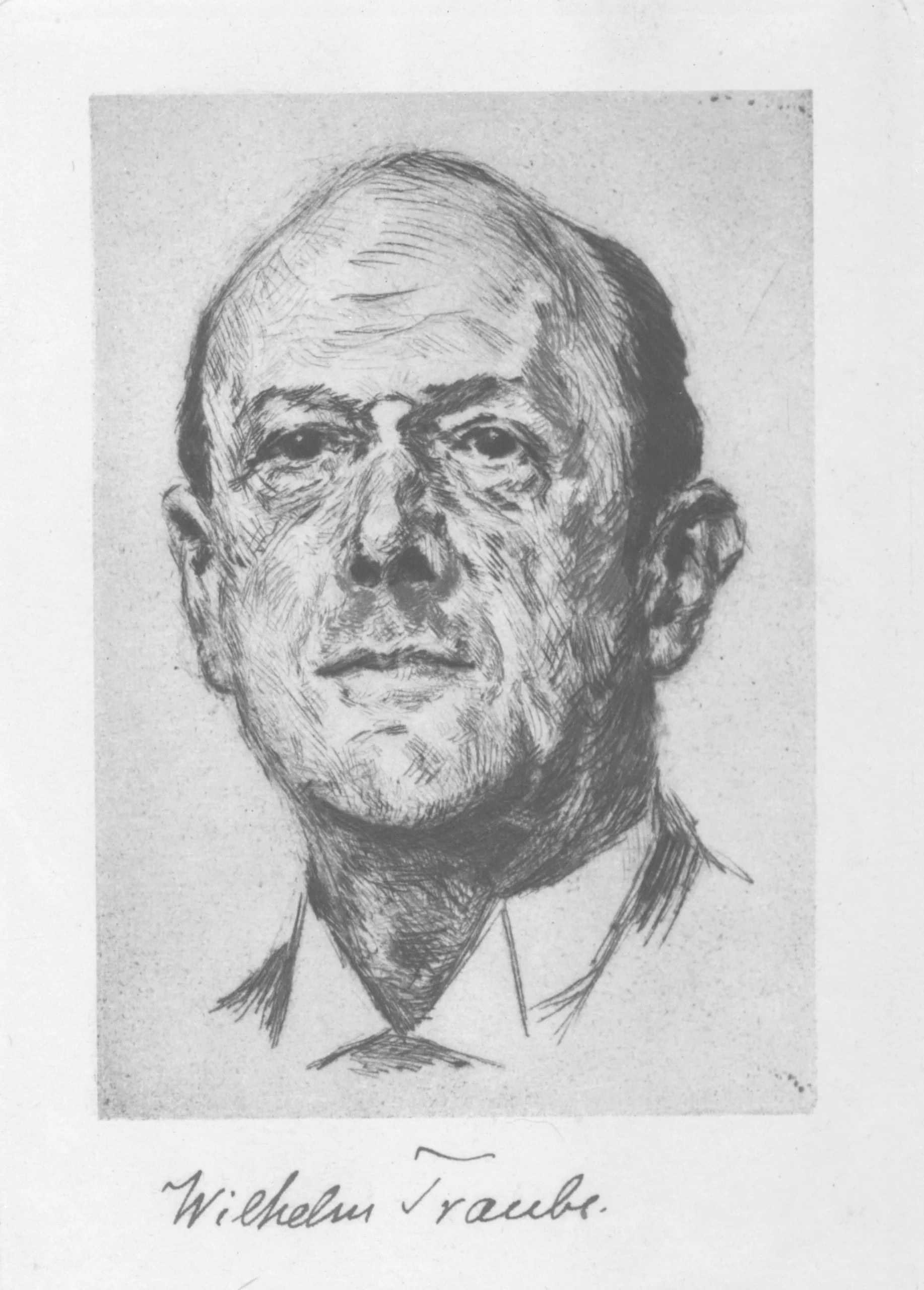 Portrait of Wilhelm Traube (1866–1942) – memorial page
