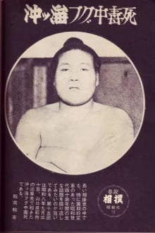 Portrait of Fukuo Okitsūmi (1910–1933) – memorial page