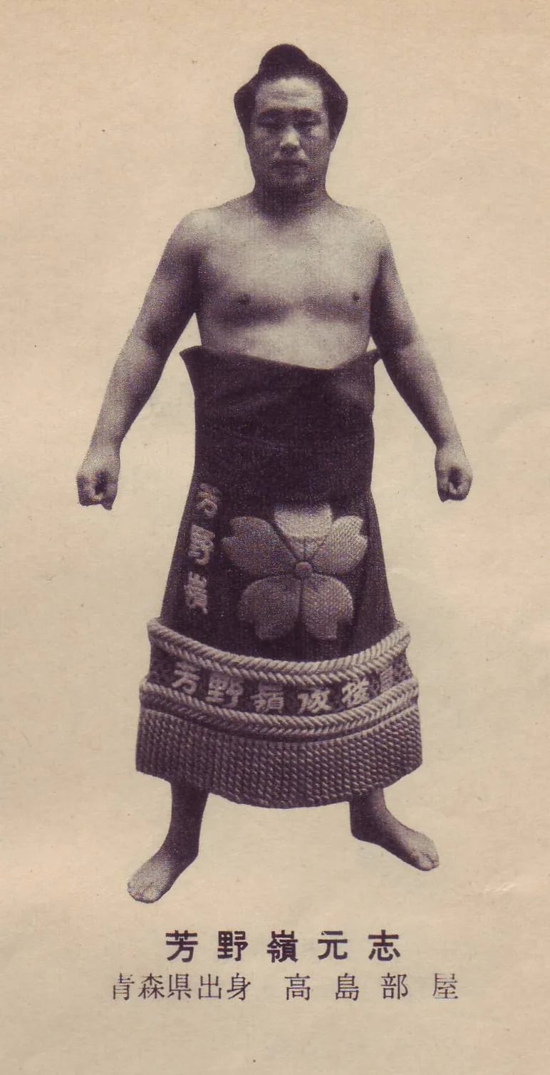 Portrait of Motoshi Yoshinomine (1931–2012) – memorial page