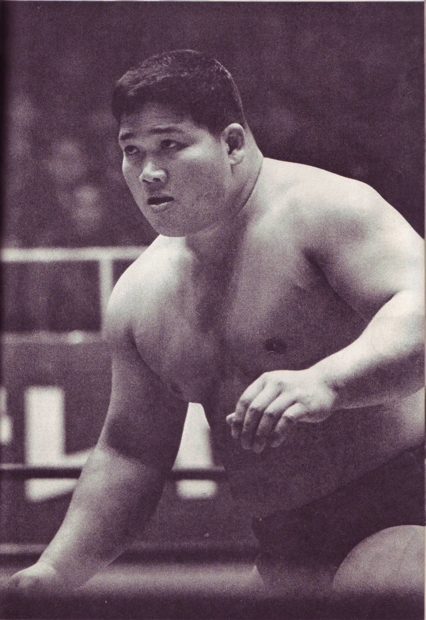 Portrait of Toyonobori (1931–1998) – memorial page