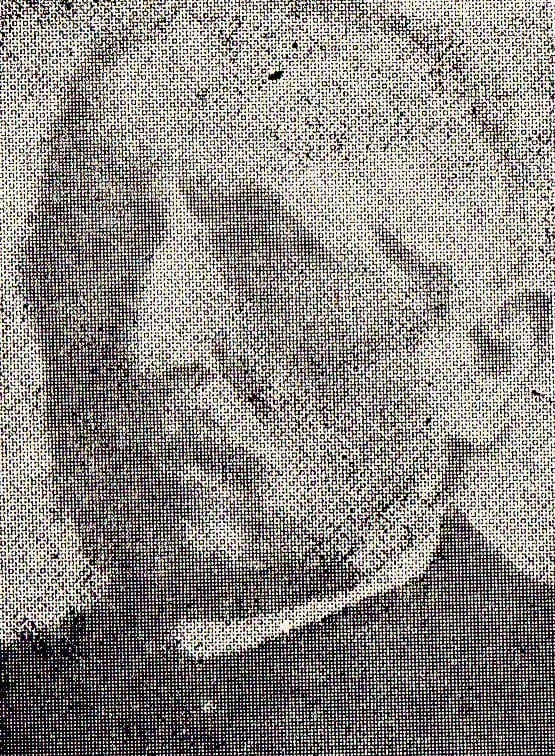 Portrait of Antoni Krzyżanowski (1808–1895) – memorial page