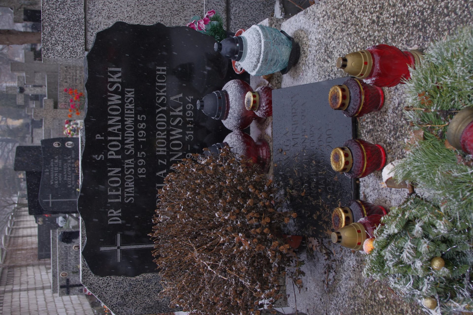 Porträt von Jadwiga Polanowska-Misiorny (1937–2003) – Gedenkseite