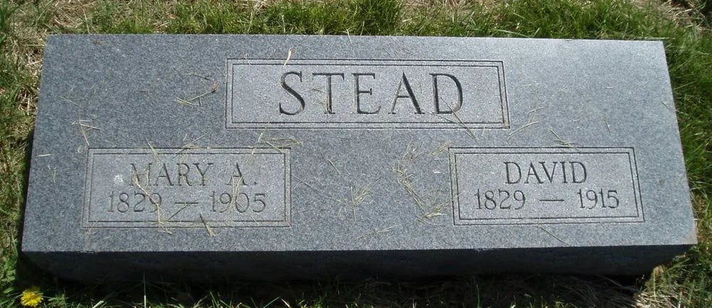 Portrait of David Stead (1829–1915) – memorial page