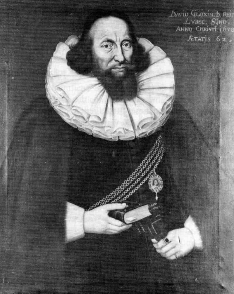 Porträt von David Gloxin (1597–1671) – Gedenkseite