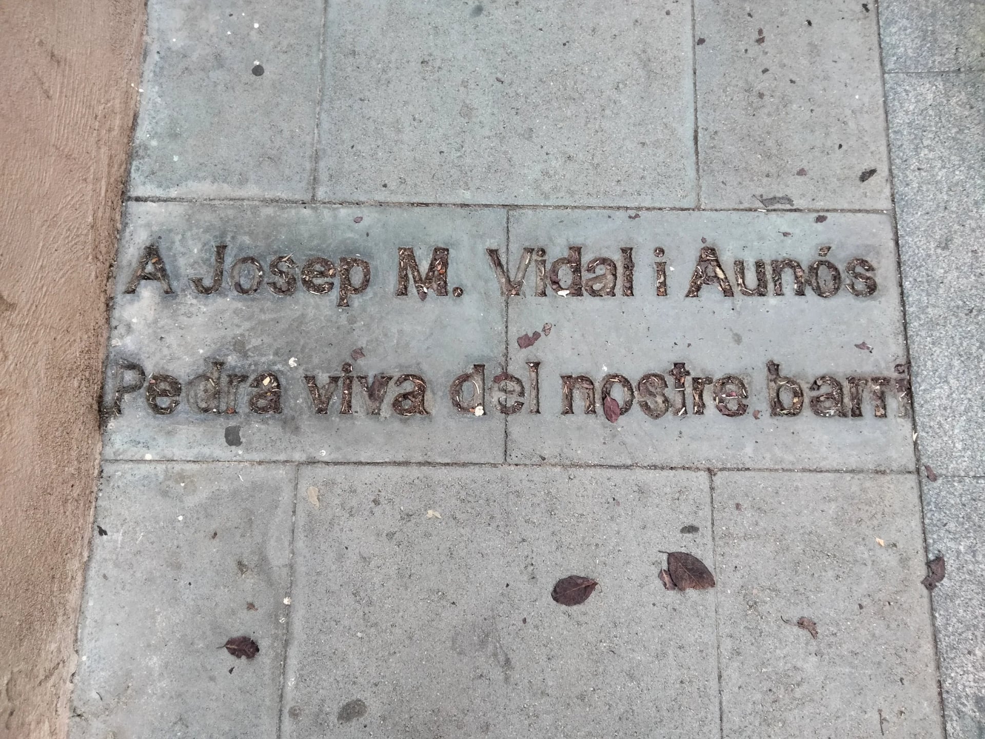 Portrait of Josep Maria Vidal i Aunós (1921–2003) – memorial page