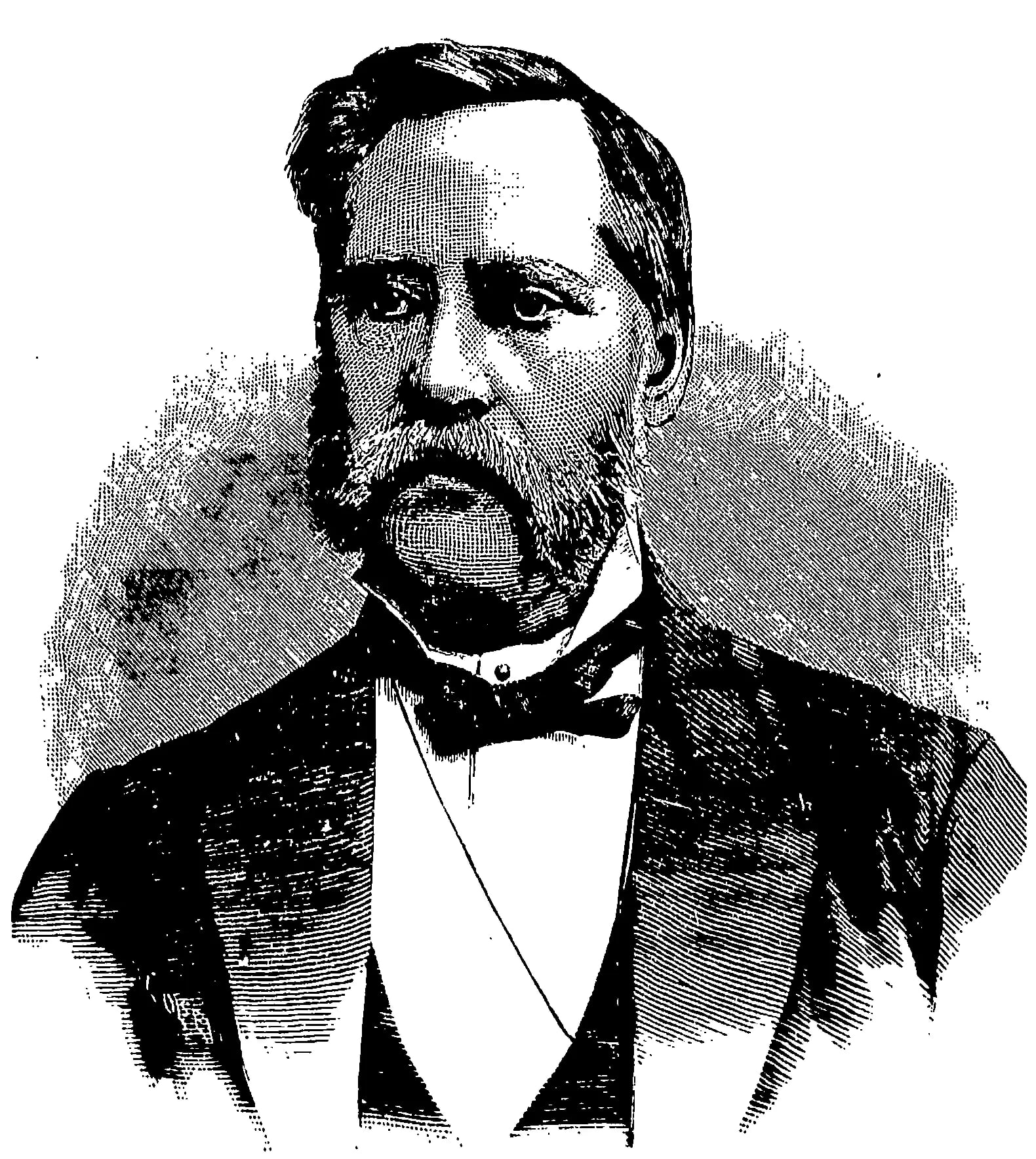 Portrait of Christian Møinichen Havig (1825–1912) – memorial page
