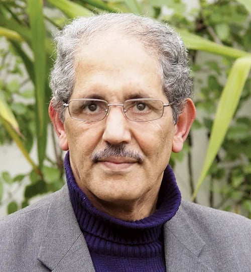 Portrait of Mohamed Dlimi (1946–2015) – memorial page