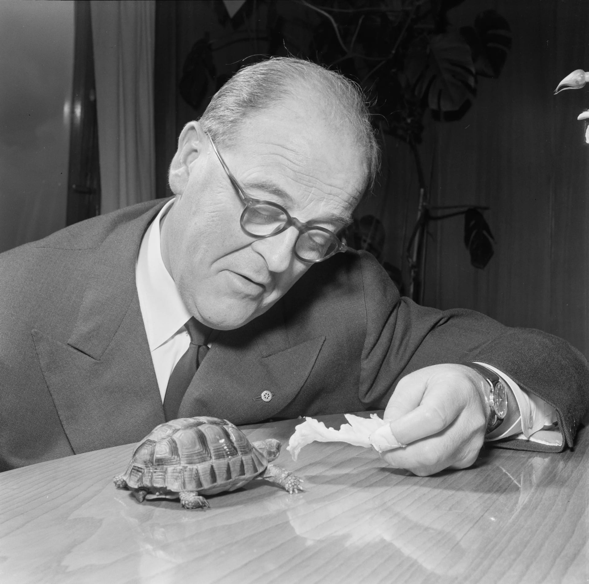 Porträt von Thorstein Diesen (1894–1962) – Gedenkseite