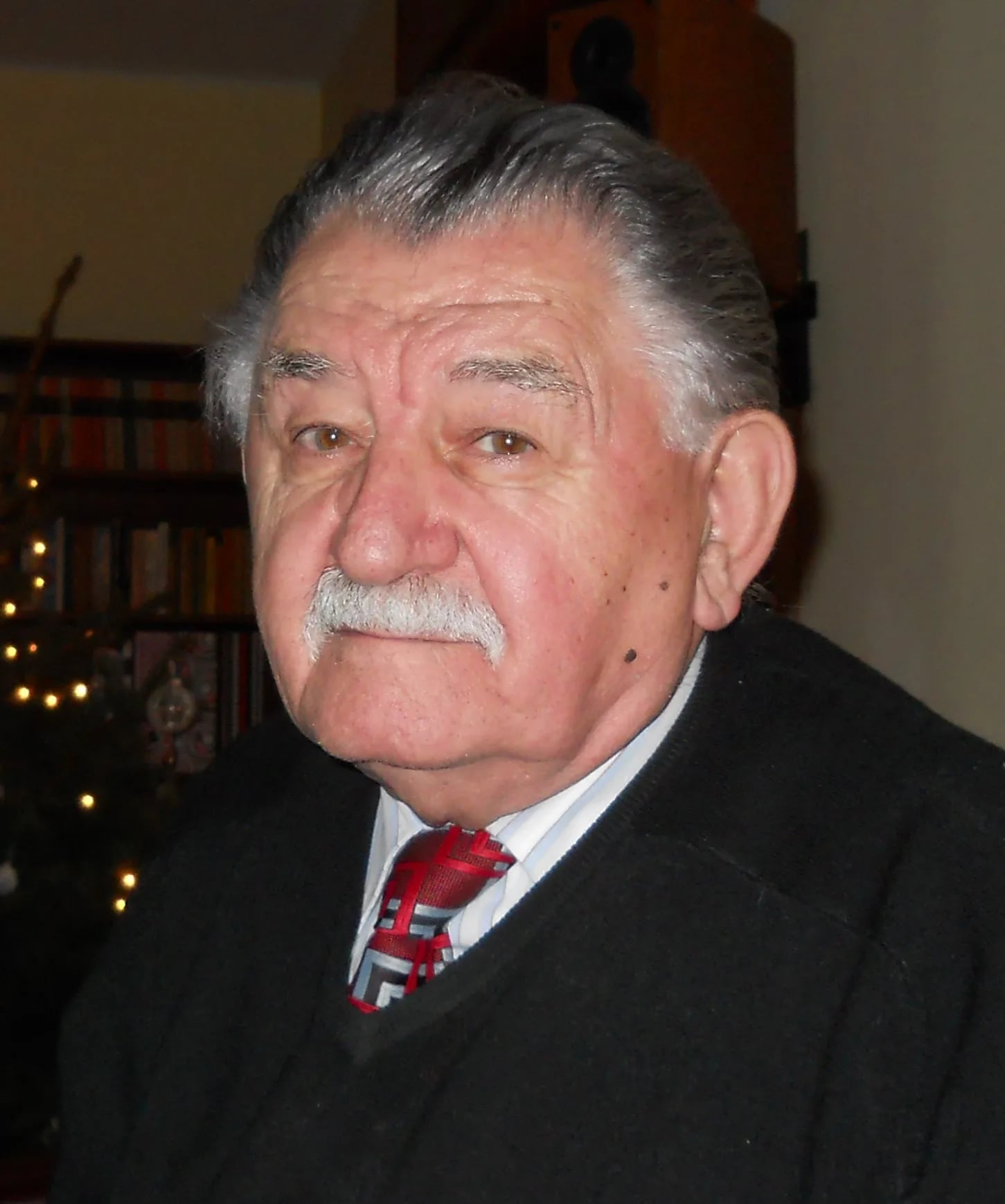 Porträt von István Hoóz (1928–2023) – Gedenkseite
