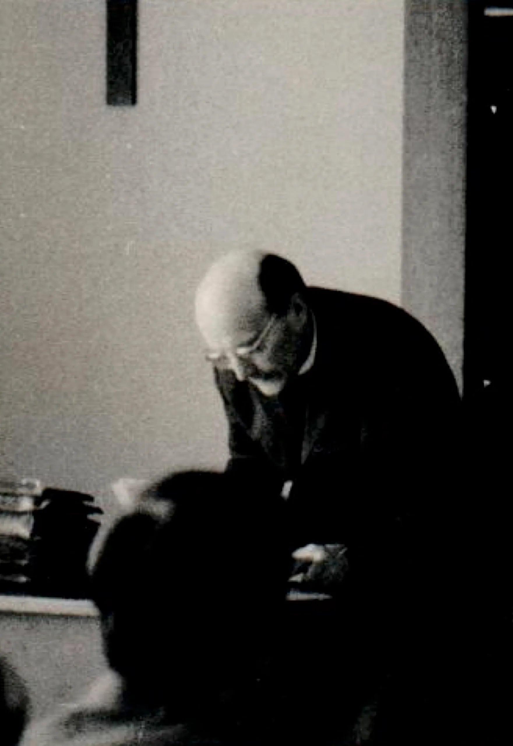 Porträt von František Novák (1919–1999) – Gedenkseite
