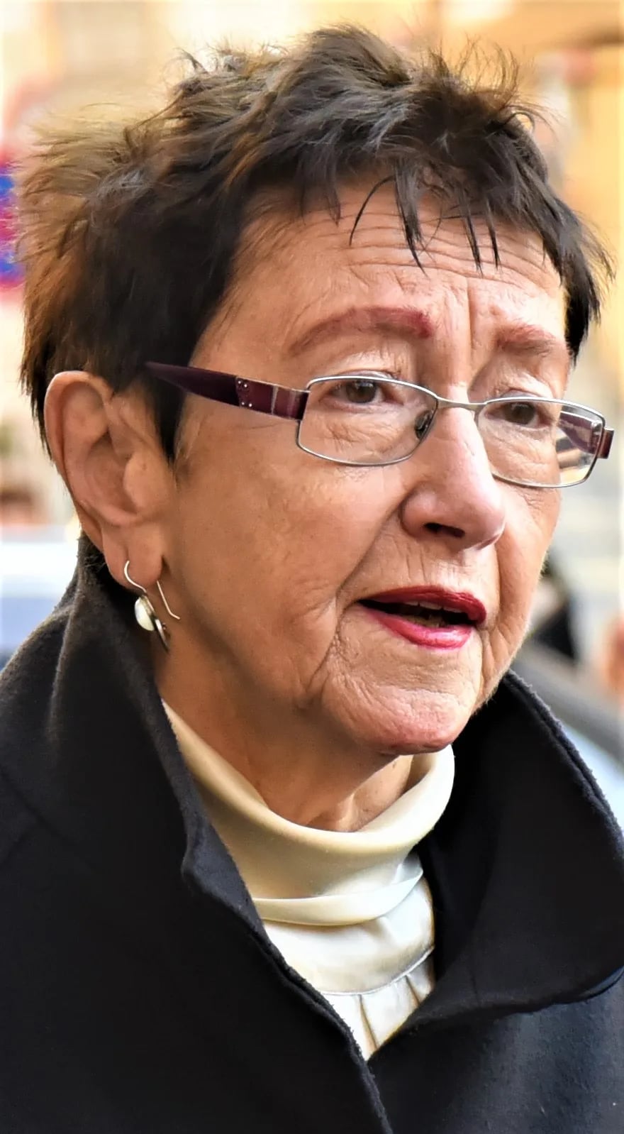 Porträt von Jiřina Šiklová (1935–2021) – Gedenkseite