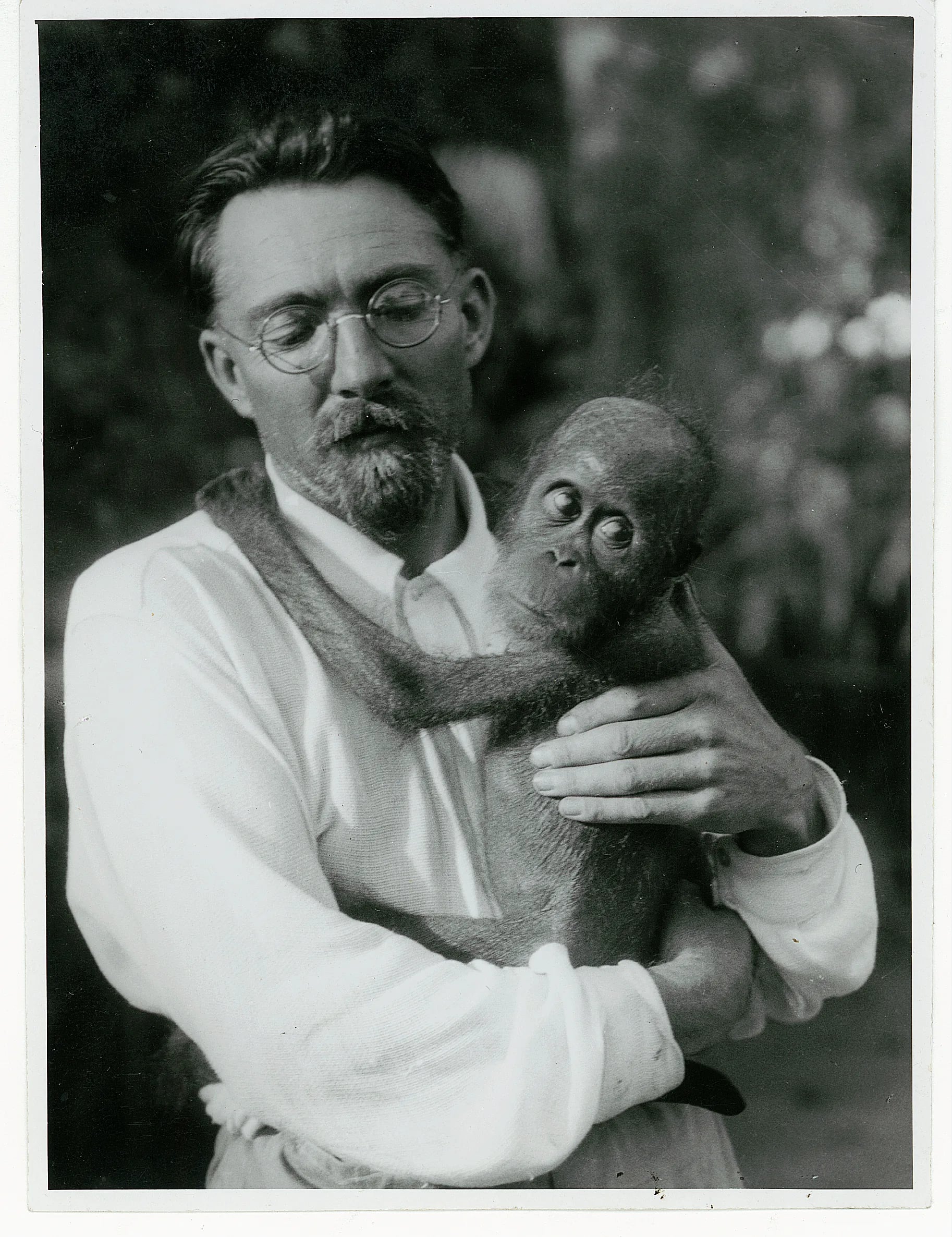 Portrait of Arnold Heim (1882–1965) – memorial page