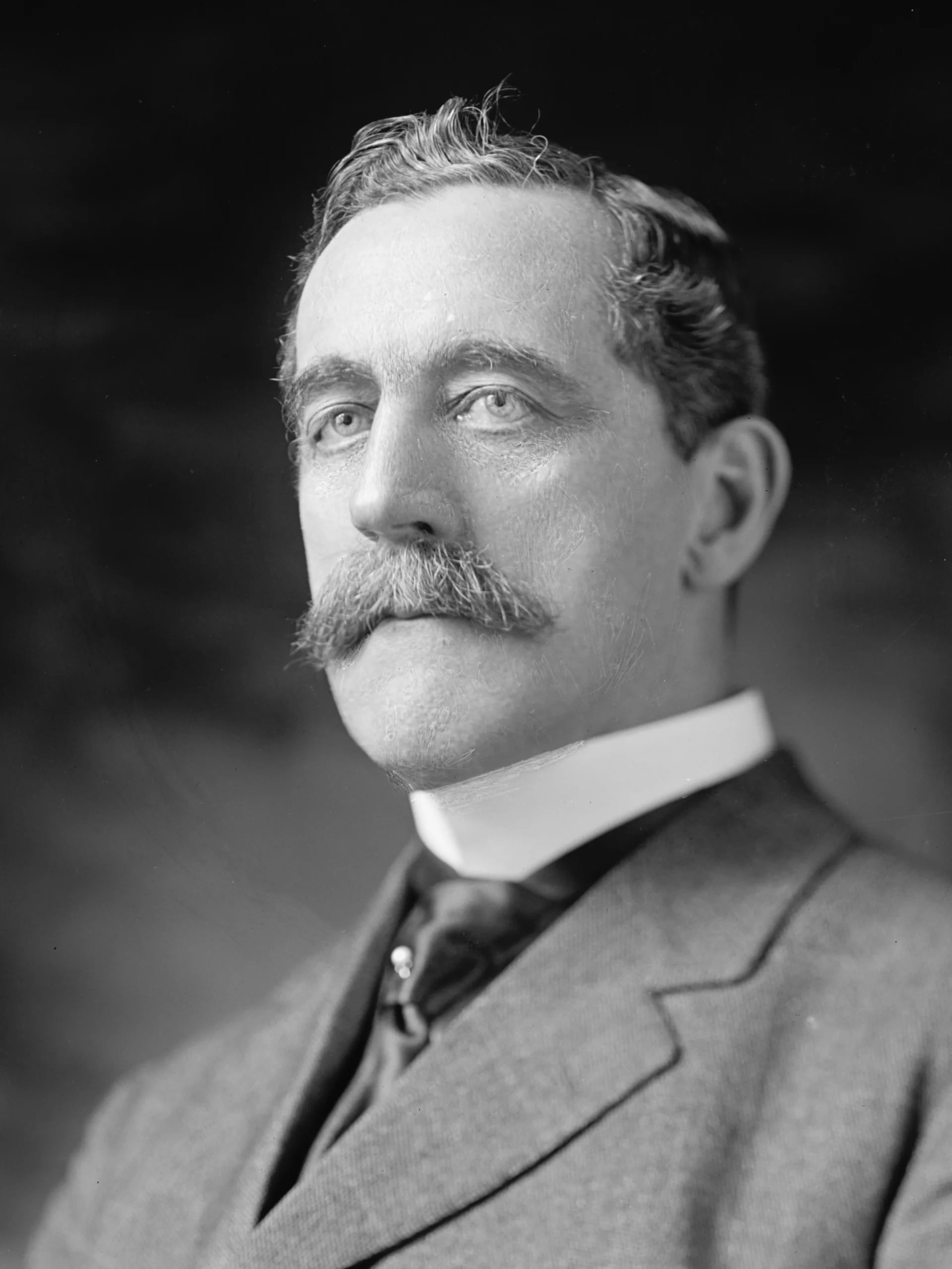 Portrait of Hamilton Fish II (1849–1936) – memorial page