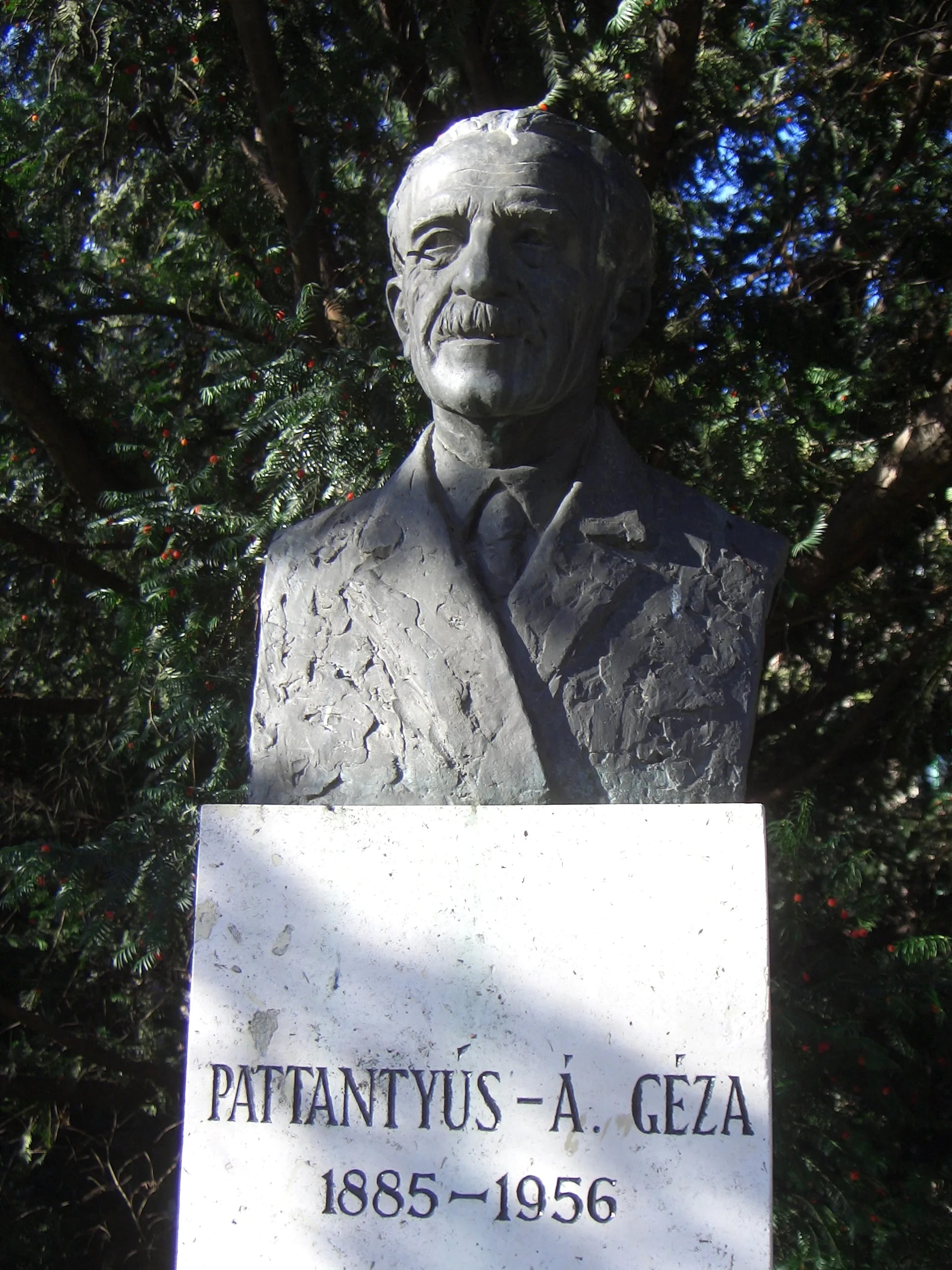Portrait of Géza Pattantyús-Ábrahám (1885–1956) – memorial page