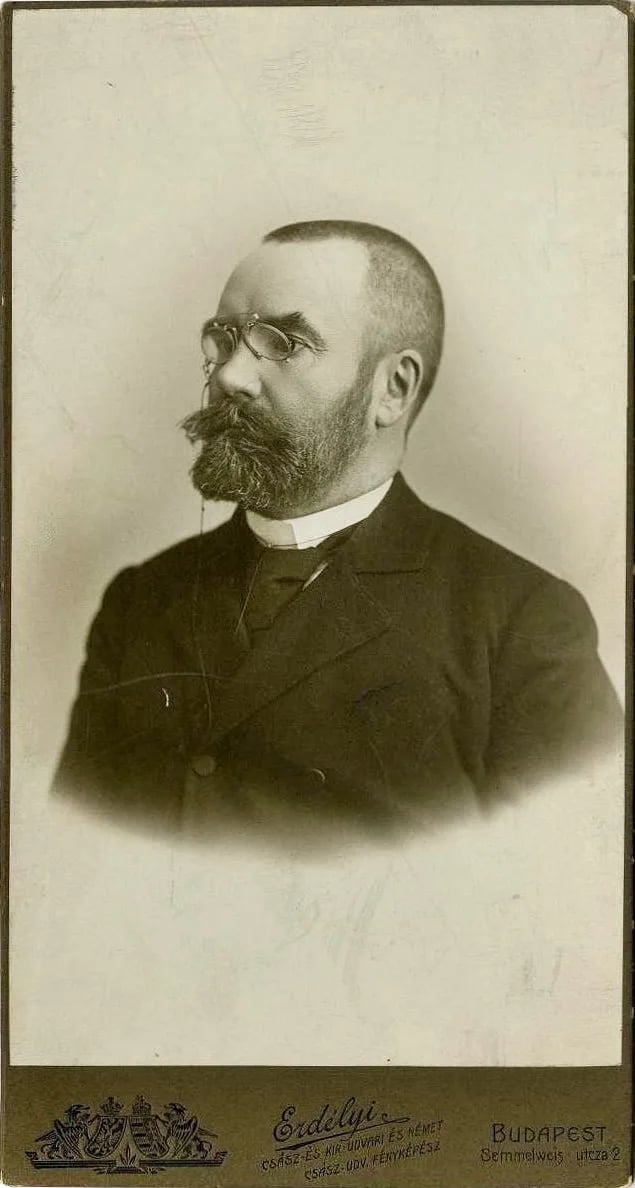 Portrait of Gyula Pauler (1841–1903) – memorial page