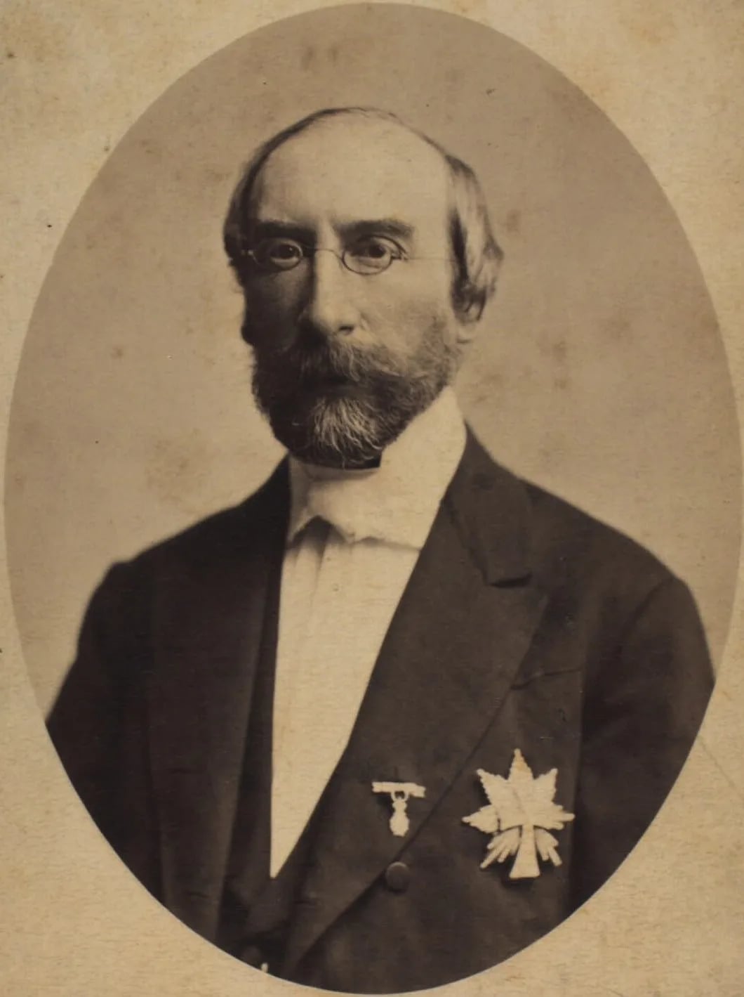 Portrait of Johannes Nellemann (1831–1906) – memorial page