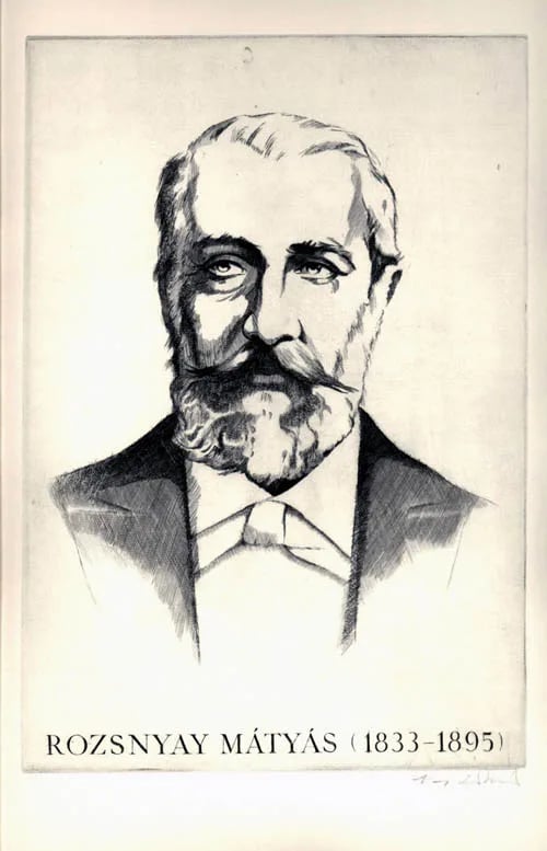 Portrait of Mátyás Rozsnyay (1833–1895) – memorial page