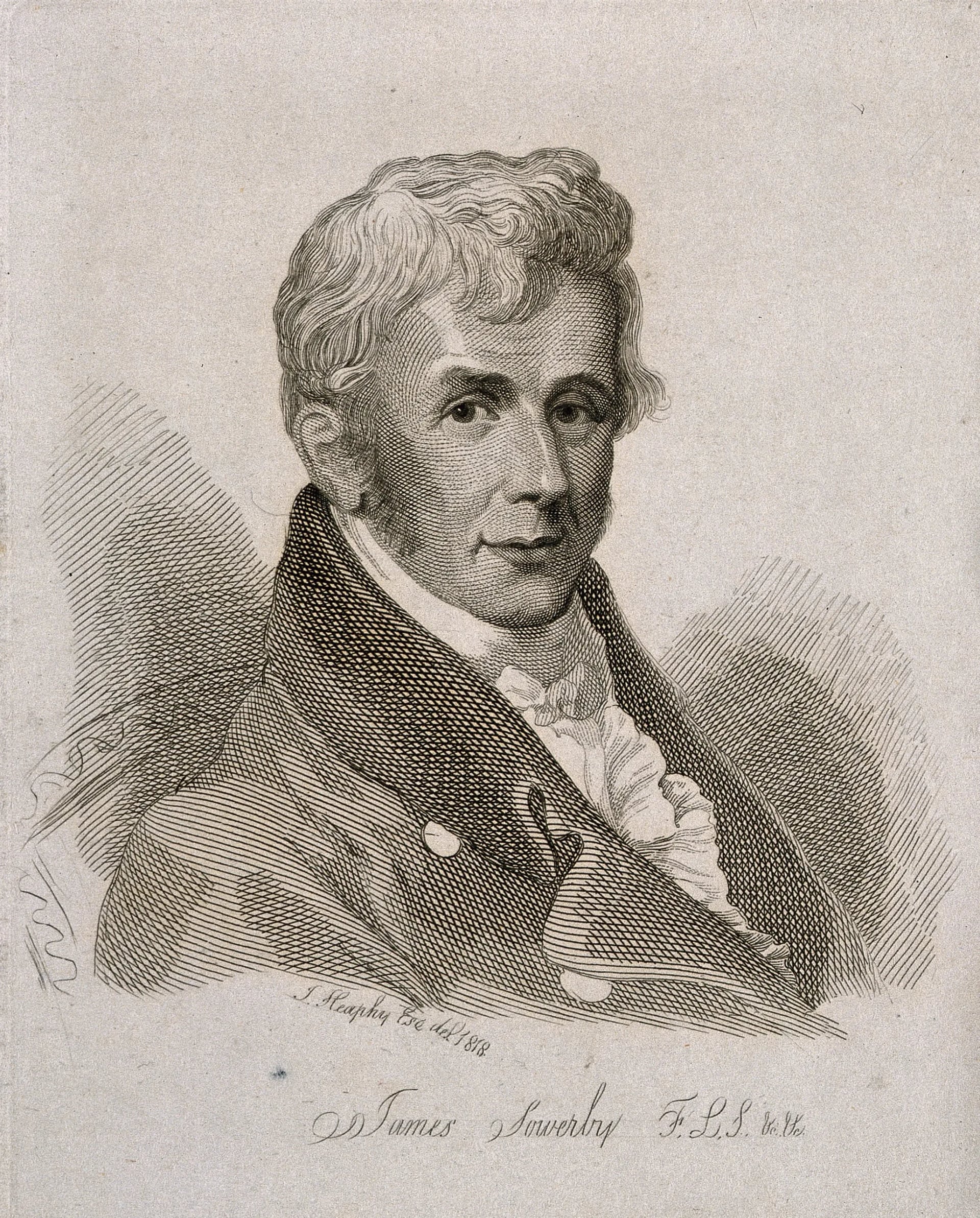 Porträt von James Sowerby (1757–1822) – Gedenkseite